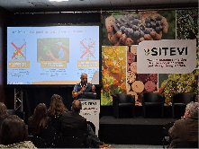 conference 1 sitevi 2025